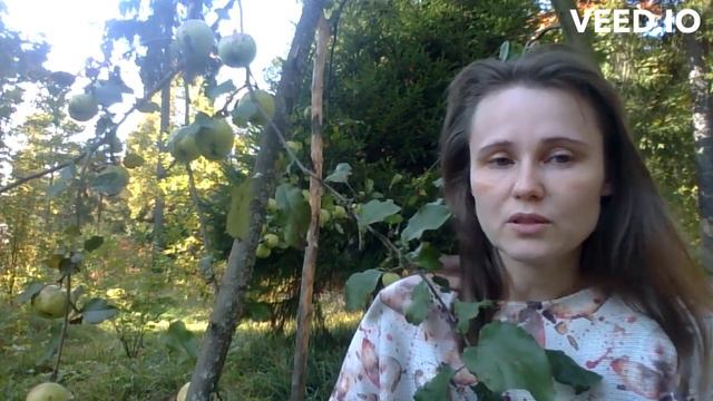 Слово ДОЛЖЕН смотреть онлайн