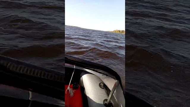 x river agent 340 и мотор Меркурий 15 сил мультипумпель. смотреть онлайн
