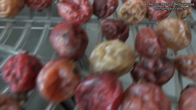 Стоит ли сушить крыжовник (крыжовник сушеный) эксперимент смотреть онлайн