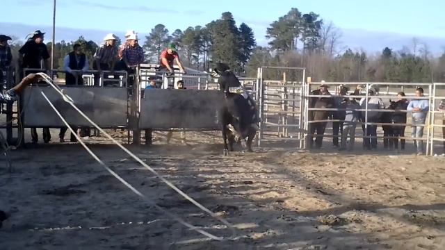 Lechero de cheran michoacan смотреть онлайн