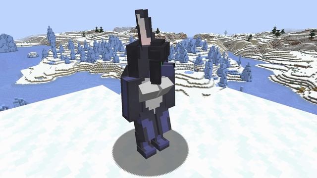 Aurora Minecraft Custom Player Model Commission Showcase смотреть онлайн