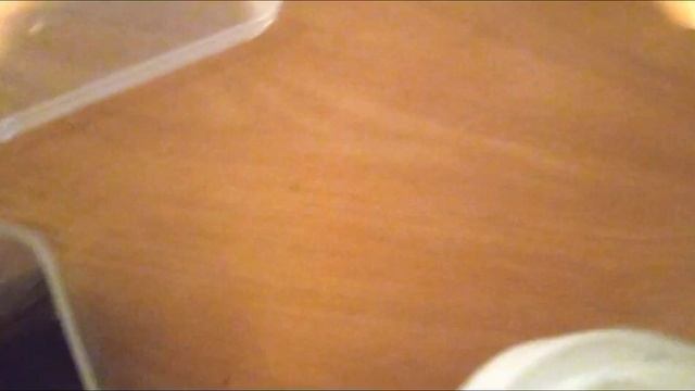 Знакомство с моими питомцами! Что будет, если паук-скакун Захар увидит мокрицу? смотреть онлайн