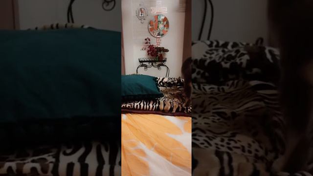 13 июня 2023 г Турки Мамлюки ! Лена хеппи беги от них! смотреть онлайн