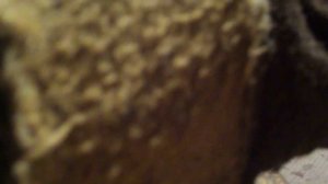 Как быстро просушить электрод? [сварка]