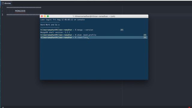 install dan setting mongodb смотреть онлайн