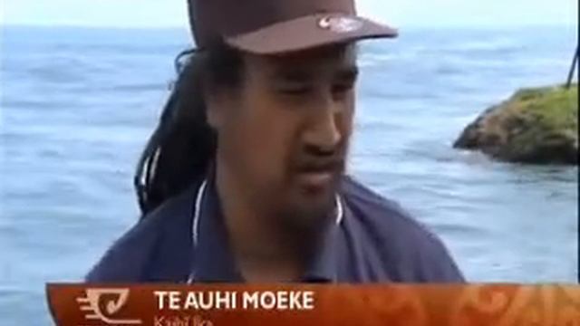 Fisheries officers maintain laws on the sea смотреть онлайн
