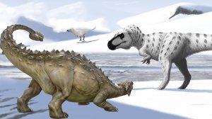 Динозавры и места их обитания на Земле. Часть 3.