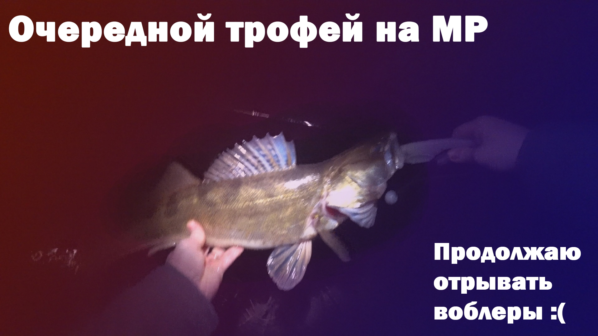 ТРОФЕЙНЫЙ судак на воблеры ночью! Поймал второго крупного судака на спиннинг в сезоне 2022
