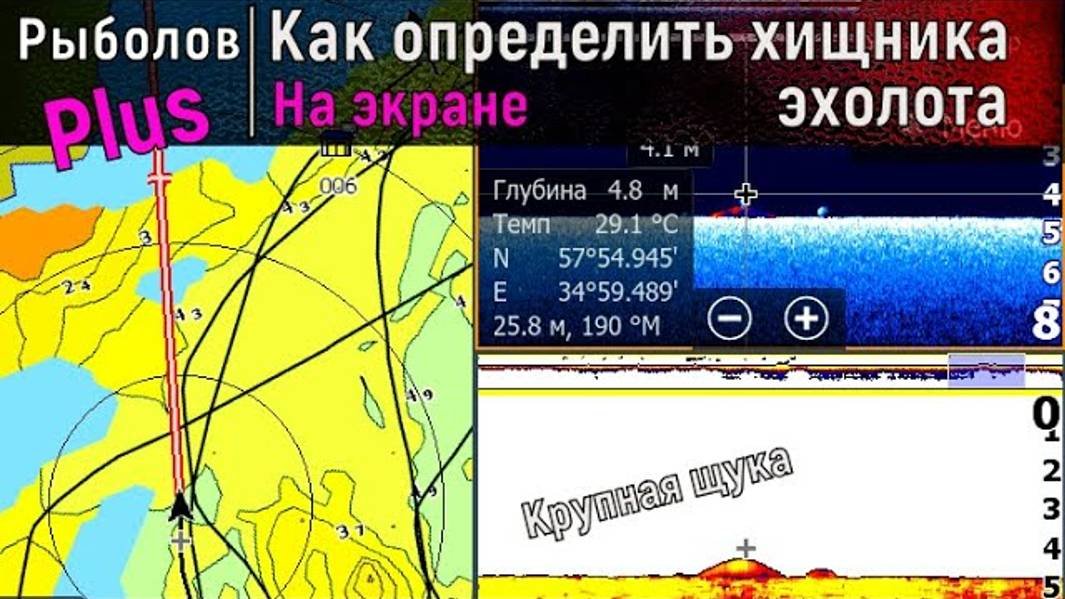 Как различить рыбу на экране эхолота смотреть онлайн