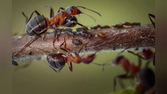 ДЕЙСТВИТЕЛЬНО ИНТЕРЕСНО