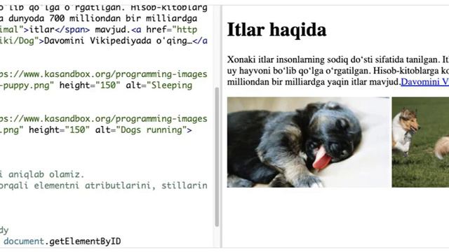 Elementlarni ID orqali topish | HTML/JS: veb sahifalarni interaktiv qilish | Dasturlash смотреть онлайн