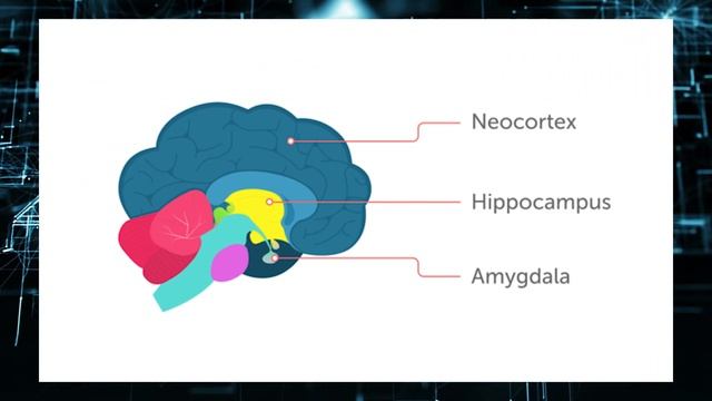 Can we Upload our Consciousness? The key to Immortality смотреть онлайн