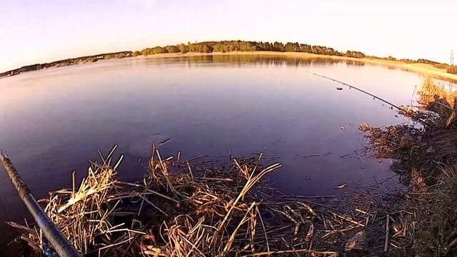 Рыбалка на фидер весной .Ловля густеры и плотвы смотреть онлайн