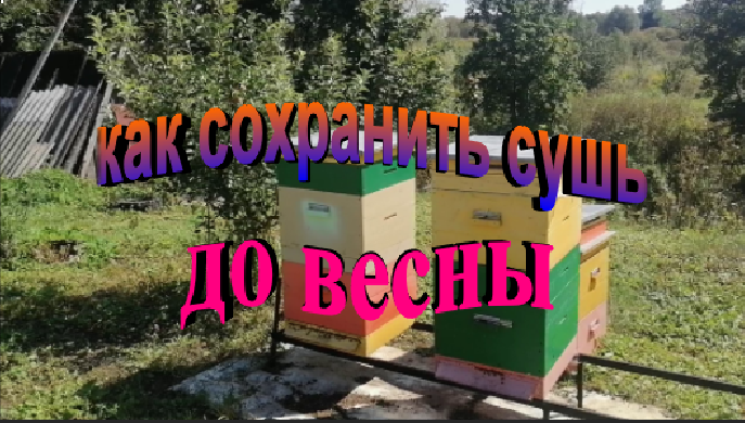 Как сохранить сушь до весны. У моли нет шансов. смотреть онлайн