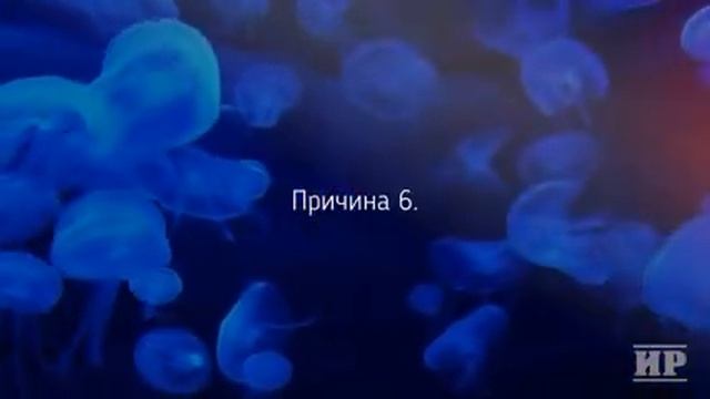 Причины РАДОВАТЬСЯ неудачам смотреть онлайн