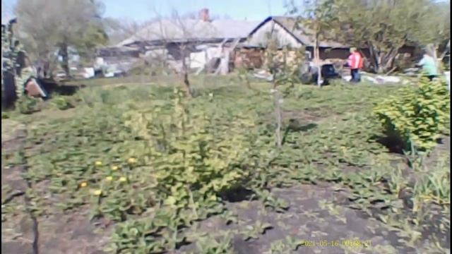Вот так и живем... Весенний -фитнес - огород... Посадка картошки под мотоблок... Последний звонок!! смотреть онлайн