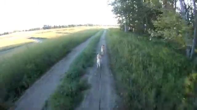 Firenza & Kiana's 21st scooter run, lines inline смотреть онлайн