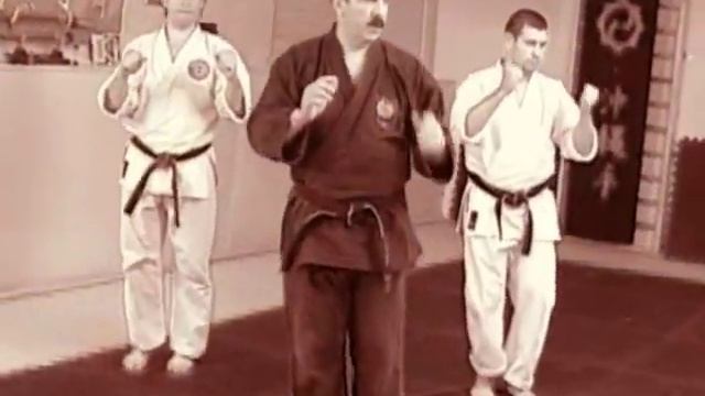 Оперативное карате. Рукопашный бой в экстремальный ситуациях Ю.Е.Маряшина - Урок 1 Основные Действи смотреть онлайн