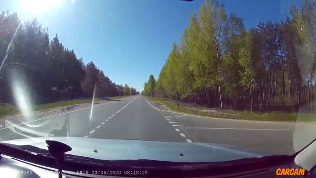 Лоси перебегают дорогу смотреть онлайн