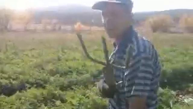 прикол смотреть онлайн