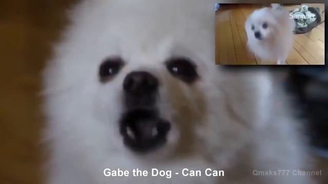 ТОП 10 САМЫЕ СМЕШНЫЕ РЕМИКСЫ ИЗВЕСТНЫХ ПЕСЕН 2017 смотреть онлайн