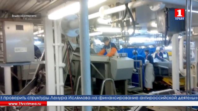 В Азово-Черноморском бассейне в этом году рекордный улов рыбы смотреть онлайн