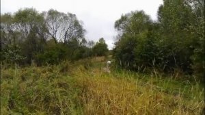 Проехали на Мотоблоке Пахарь(8 л.с) больше 100 км.