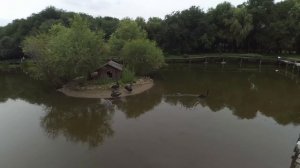 Китай. S5E07 Парк «Солнечный остров» в Харбине