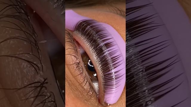 Ламинирование ресниц @frontalina.lami ?? смотреть онлайн