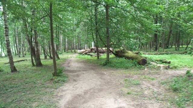 Барская усадьба. Парковая территория. смотреть онлайн