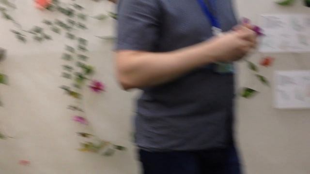 выставка тропических бабочек. Тюмень. Часть 1. смотреть онлайн
