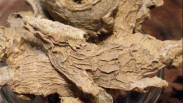 Кулинарные Рецепты из Разных Культур