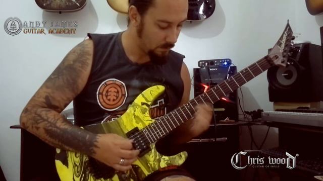 Andy James - Angels Of Darkness Intro - By Chris Wood смотреть онлайн