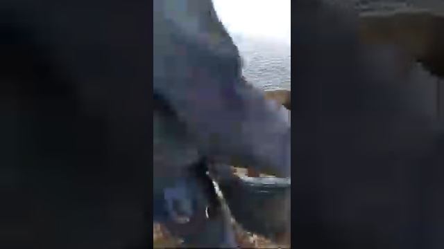 Рыбалка воронеж смотреть онлайн