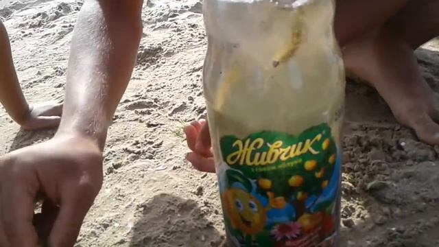 Живность в чёрном море ))) смотреть онлайн