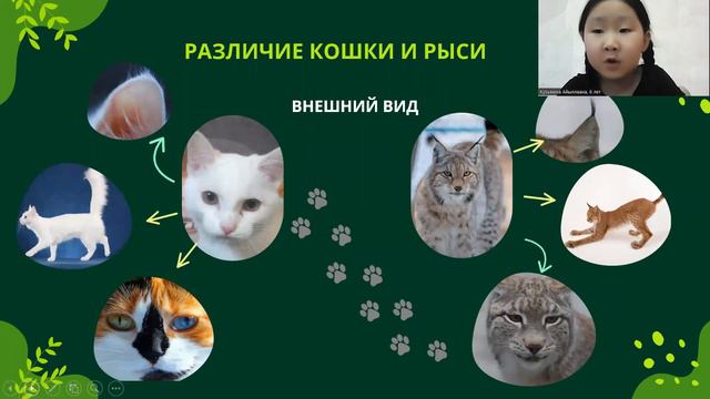 К Айыллаана, 6 лет МБНОУ "ОНОЦ" им. М.Е.Николаева детский сад "Мичээр" смотреть онлайн