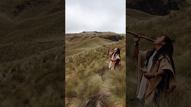 Crazy Coyote ? - The Andean Mountains смотреть онлайн