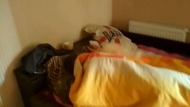 Щенок не дает спать ).  Puppy Wakes Up The Owner.