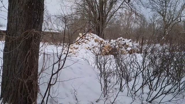 Как Веся узнала, для чего нужен хвост, кот обрёл домик на дереве, а у Ники появились новые совы смотреть онлайн