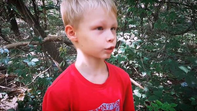 Сказка #Заколдованныйлес смотреть онлайн