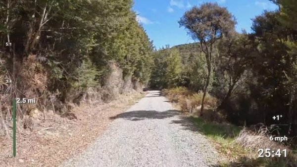 Virtual Run | Virtual Running Videos Treadmill Workout Scenery | Forest and River Run, Te Anau,