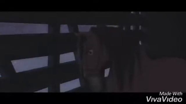 Спирит: душа прерий