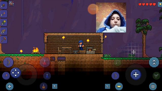 Первоя (вторая) ночь террария #2 смотреть онлайн