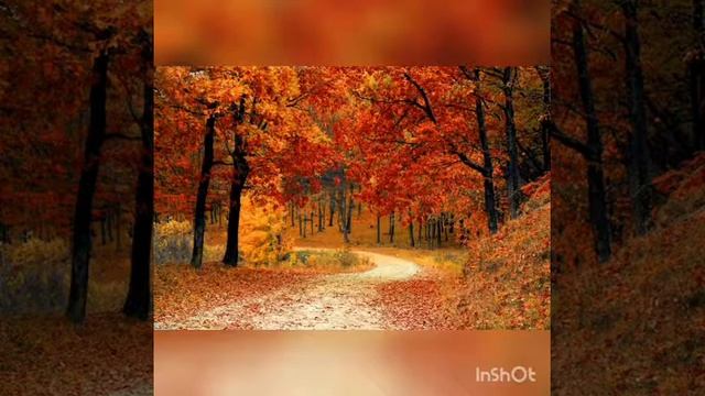 Золотая осень. Темирбекова Наргиля смотреть онлайн