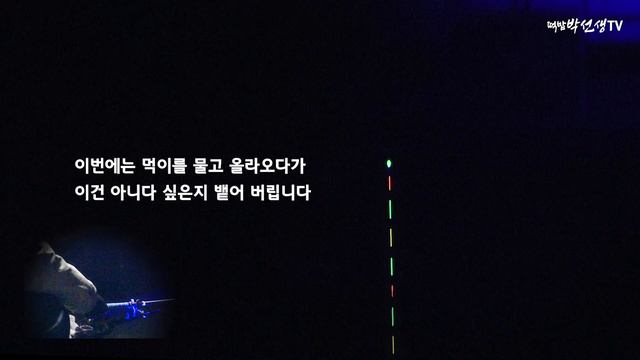 [ENG SUB] 장찌채비 만들어 낚시하기 | 장찌 찌올림 | 민물낚시 | 붕어낚시 смотреть онлайн