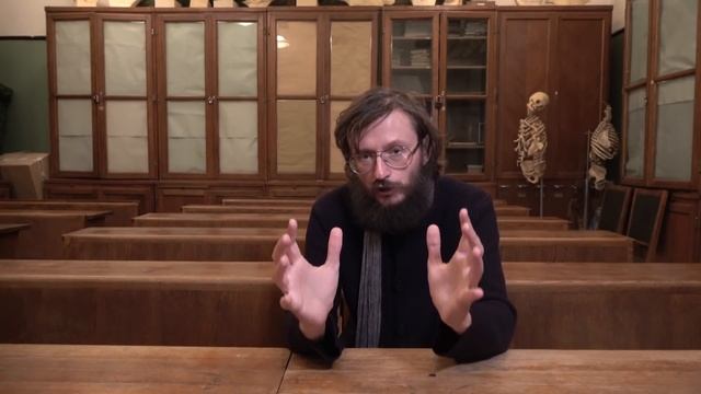 Антропология: Человекообразные и мартышкообразные обезьяны. Станислав Дробышевский смотреть онлайн