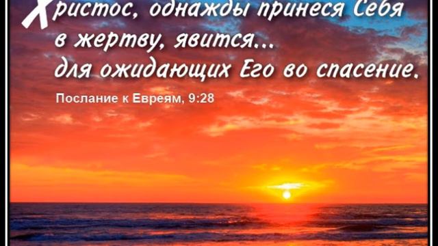 Не знаю, почему открыт смотреть онлайн