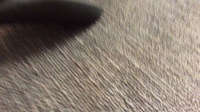 Got Slammer Review