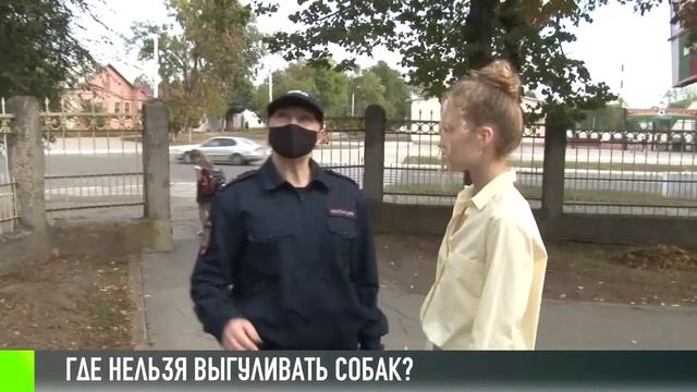 Где нельзя выгуливать собак? смотреть онлайн