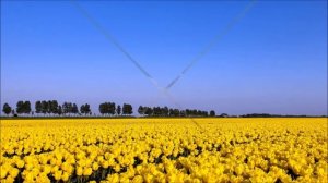 День земли  Видеоролик